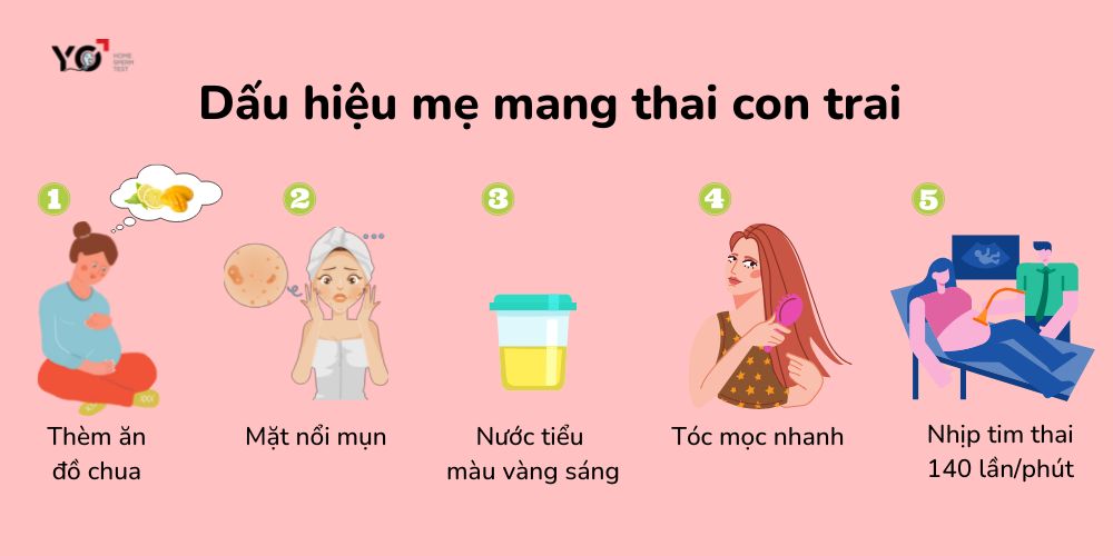 Trắc nghiệm sinh con trai