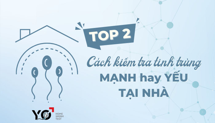 Top 2 Cách Kiểm Tra Tinh Trùng Mạnh Hay Yếu Tại Nhà Cực Chuẩn