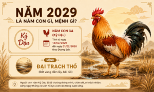 nam-2029-ky-dau