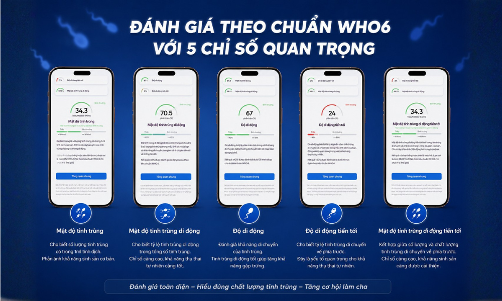 do chinh xac cua may yo dua tren tieu chi nao 2