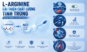 vao tro l arginine cai thien chat luong tinh trung 1