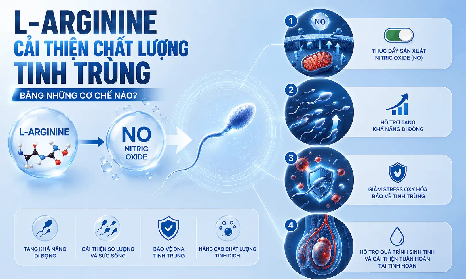 vao tro l arginine cai thien chat luong tinh trung 1