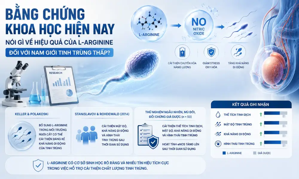 vao tro l arginine cai thien chat luong tinh trung 3