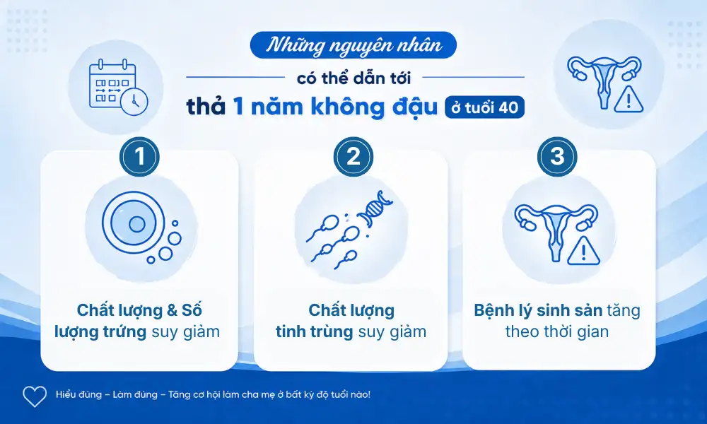 nhung-nguyen-nhan-co-the-dan-toi-viec-tha-mot-nam-khong-dau-o-tuoi-40
