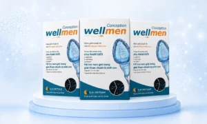wellmen-conception
